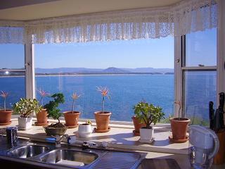 Kitchen View