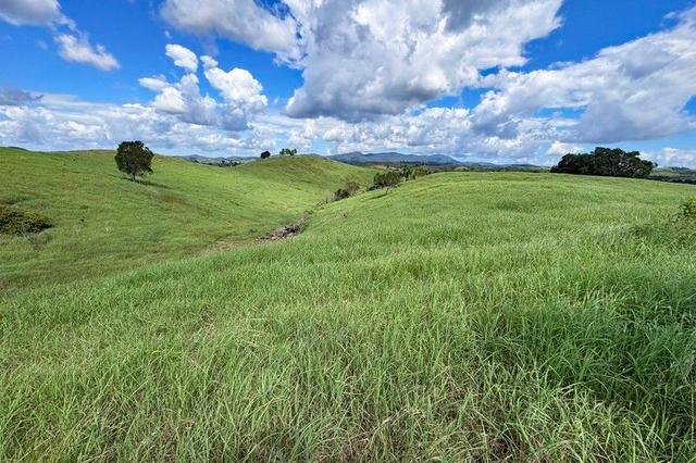 Kellys Road, QLD 4695