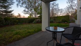Frontyard (2019-09-26)