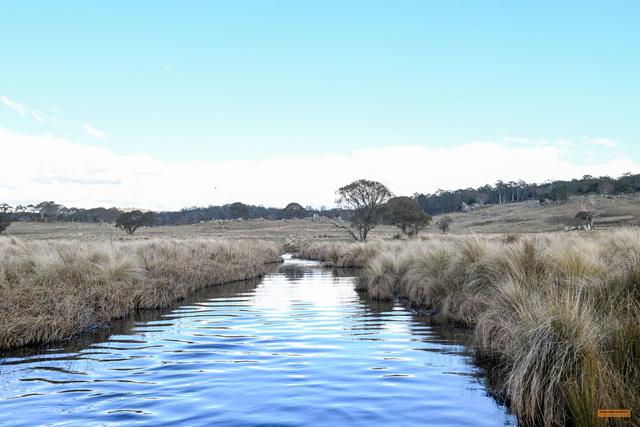 248 Hains Road, NSW 2631