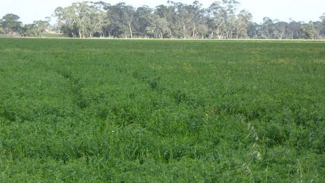 2448 Bangham Road, SA 5262