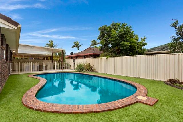 4 Razorbill Street, QLD 4220