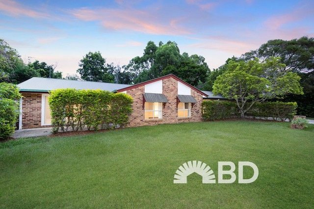 11 Tuckeroo Street, QLD 4504
