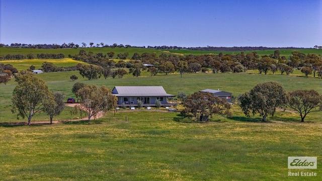 487 Wongamine  Road, WA 6401