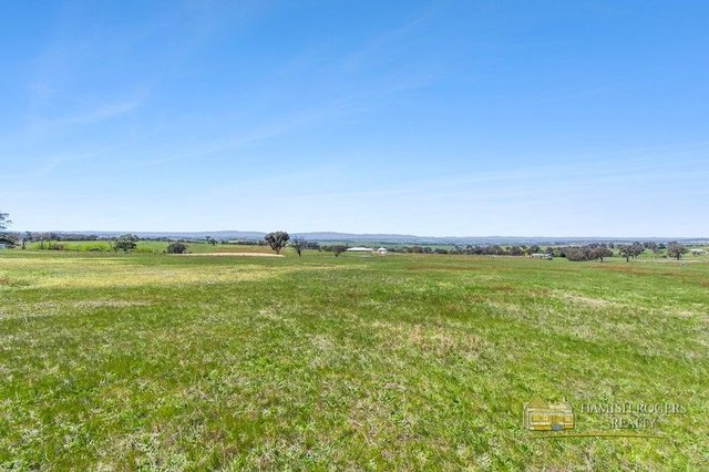 399 Mount Rankin Road, NSW 2795