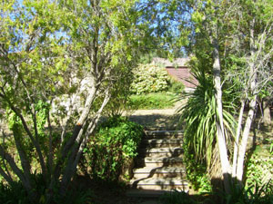 front steps