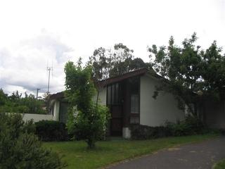 Front garden (2005-12-03)