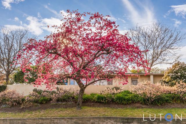 37 Gawler Crescent, ACT 2600