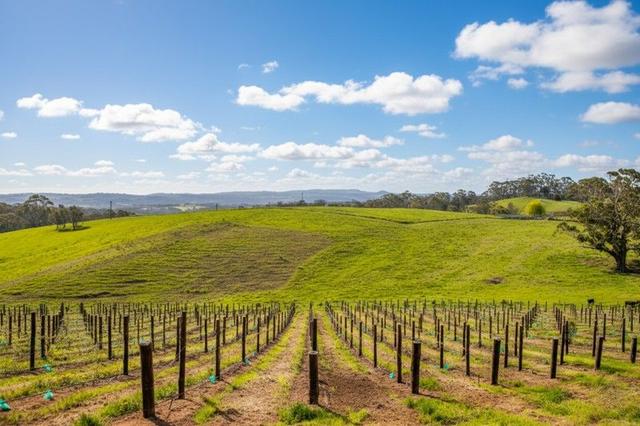 421 Hawthorn Road, SA 5153