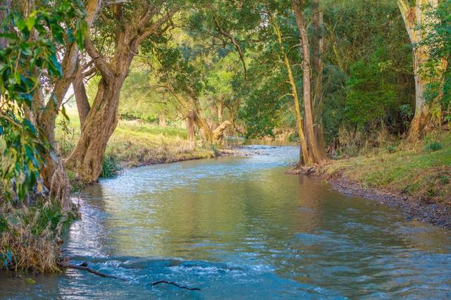 89 McMillans Road, NSW 2446