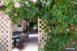 Garden (2019-05-08)