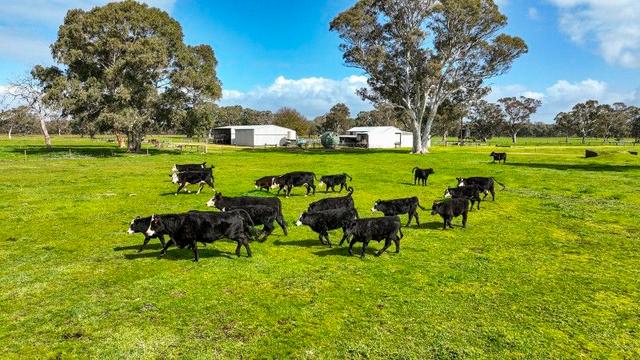 447 Charcutt Road, SA 5277