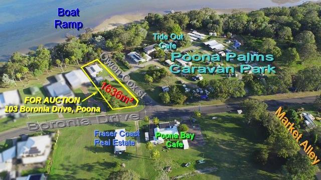 103 Boronia Drive, QLD 4650