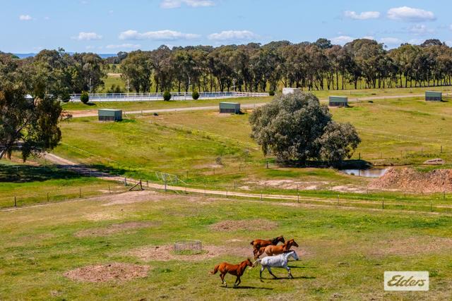 201 Gayfer Road, VIC 3683