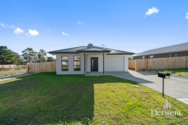 31 Bluetongue Drive, TAS 7140