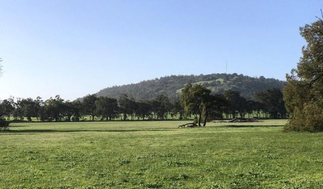 Lot 100 Gobby Road, WA 6126