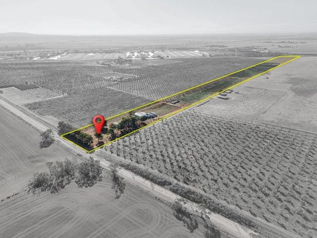 155 Kallora Road, SA 5550