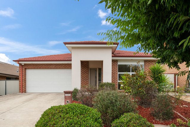 7 Renfree Street, ACT 2913