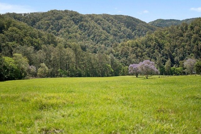 1314 Darkwood Road, NSW 2454