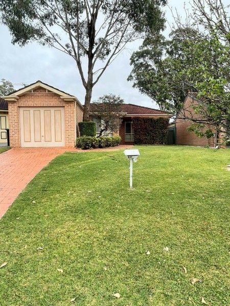 53 Candlebark Circuit, NSW 2745