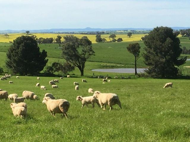 100 Powderly's Road, NSW 2594