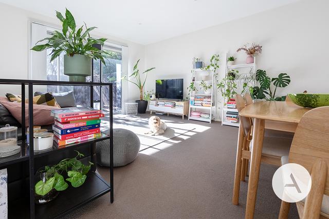 7/5 Allport St, ACT 2602