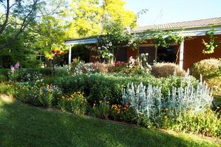 Cottage Gardens