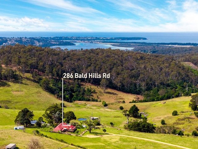 286 Bald Hills Road, NSW 2549