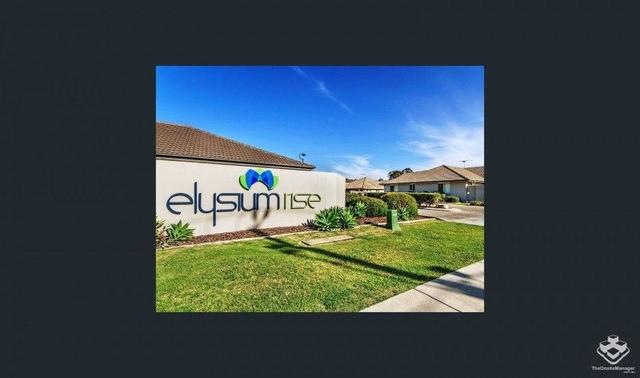ID:21155179/1-31 Elsie Street, QLD 4503