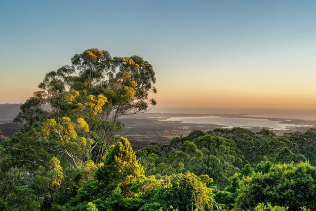 240 Lees Road, NSW 2577