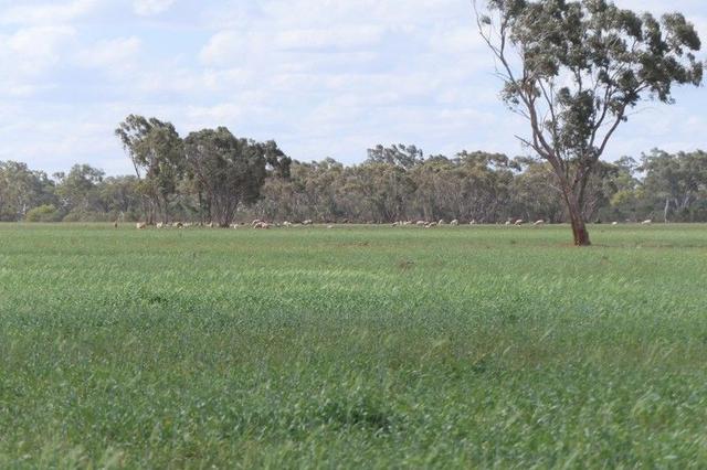 * Gilgunnia Station, 3240 Mulya Road, NSW 2835