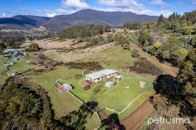 201 Lower Swamp Road, TAS 7140