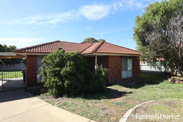 10 Harrier Street, NSW 2650