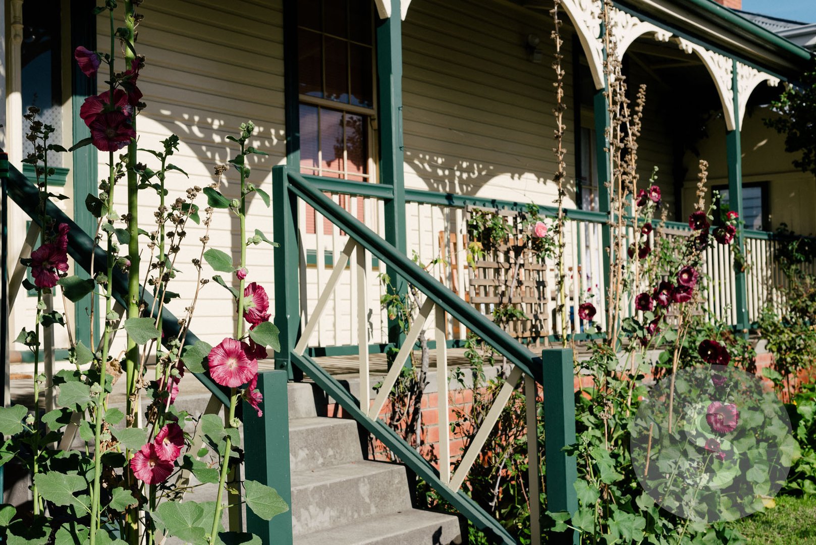 5 Dowling Street, Launceston TAS 7250 Allhomes