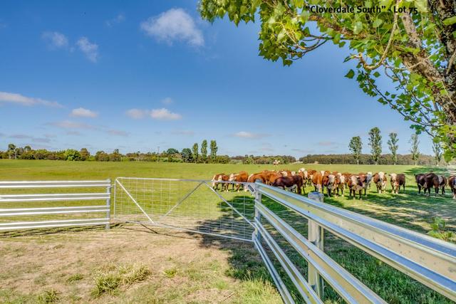 154 Scabben Flat Road, NSW 2580