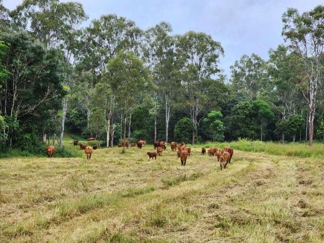 Lot 3 Kanigan Road, QLD 4570