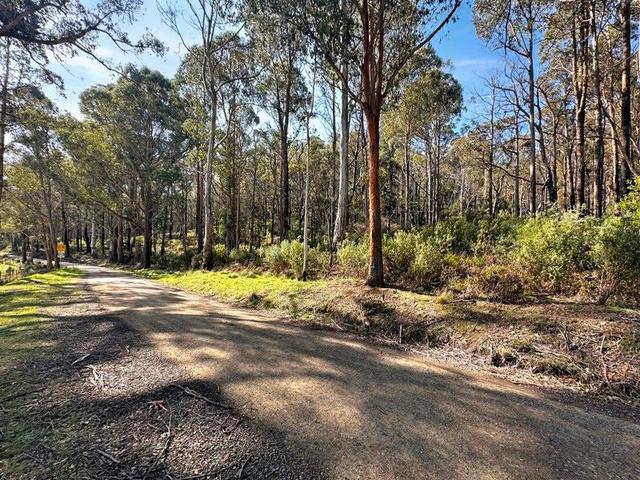 Lot 5 Gardiners Creek Road, TAS 7215