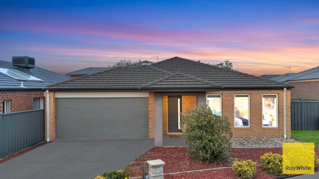 24 Risdon Circuit, VIC 3029