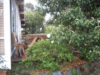 Garden (2009-12-03)