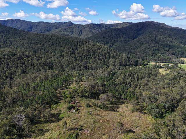 1894 Nowendoc Road, NSW 2424