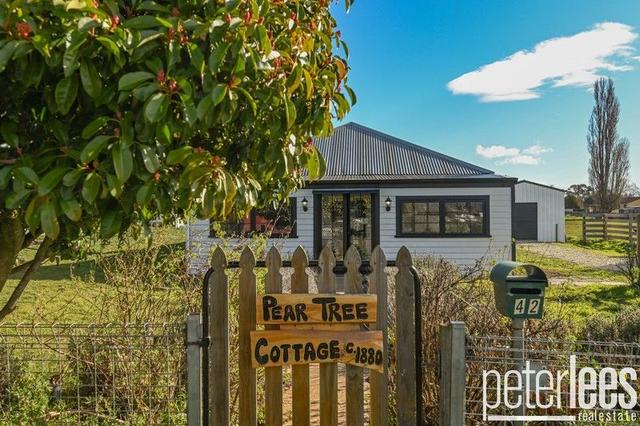 42 Forster Street, TAS 7210