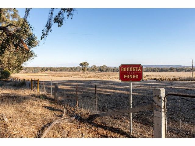 Lot 2 Chiltern-Rutherglen Road, VIC 3683