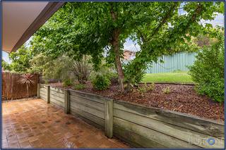 Backyard (2015-01-28)