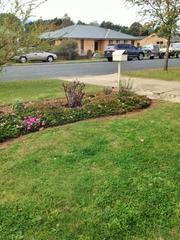 Standard Photo (2015-04-07)