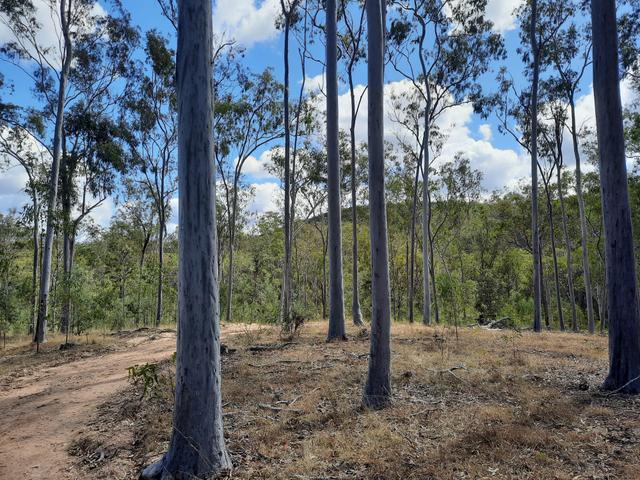 931 Nearum Rd, QLD 4671