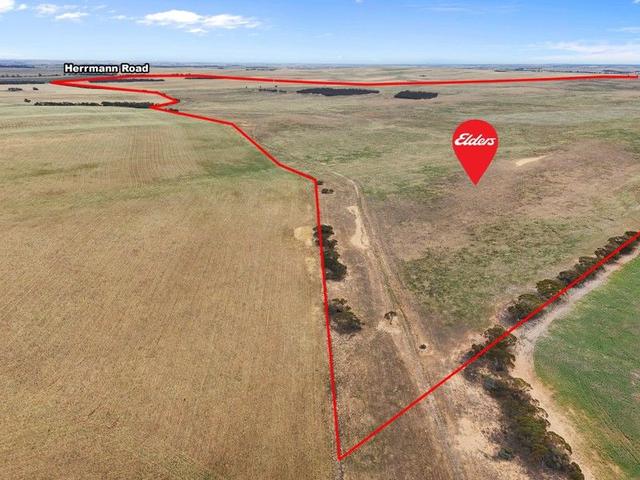 Lot 12 Lord Road, SA 5308