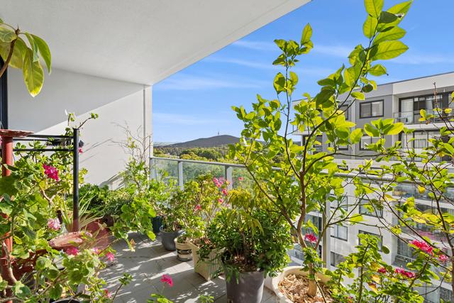 184/1 Mouat Street, ACT 2602