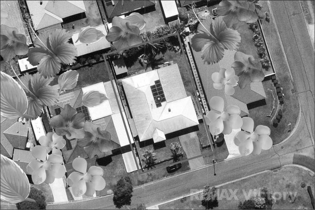 4 Jackwood Court, QLD 4506