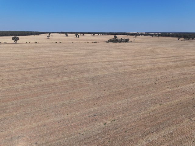 'Wattlevale' 875 Schmidts Lane, NSW 2666