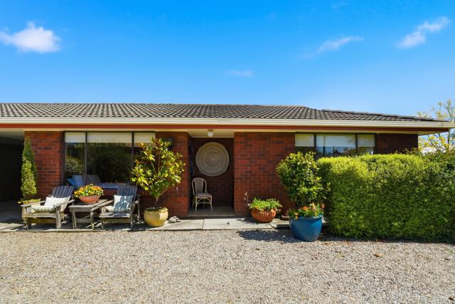 12 Talbot Street, TAS 7301